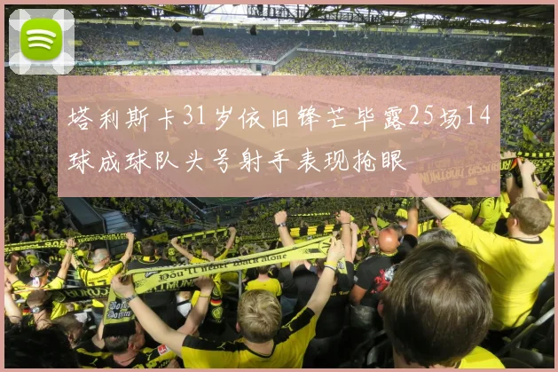 塔利斯卡31岁依旧锋芒毕露25场14球成球队头号射手表现抢眼