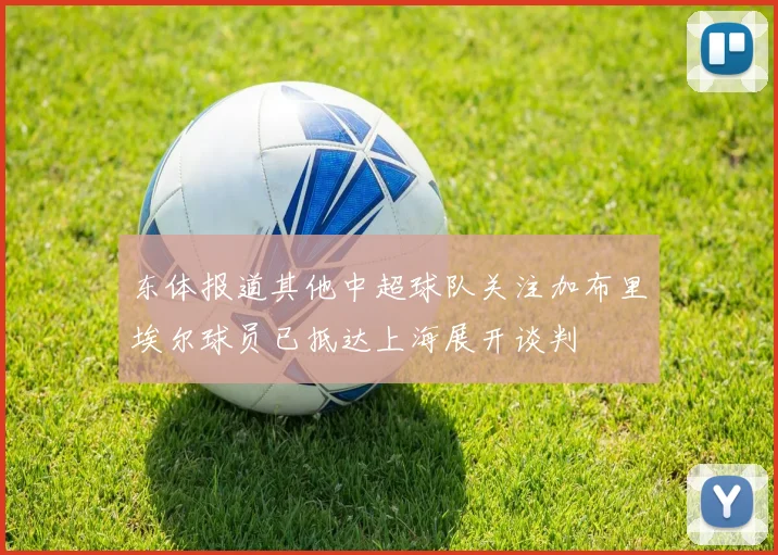 东体报道其他中超球队关注加布里埃尔球员已抵达上海展开谈判