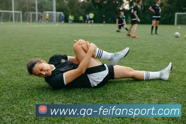 非凡体育平台生态图