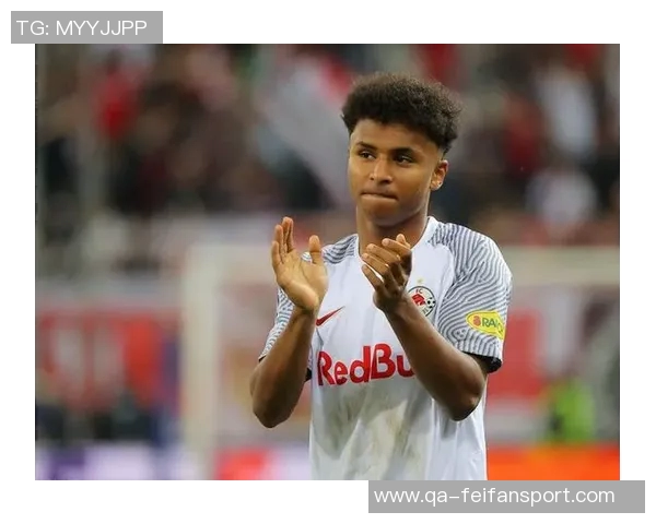 德媒揭示阿德耶米神秘盒子真相并非误购武器背后故事